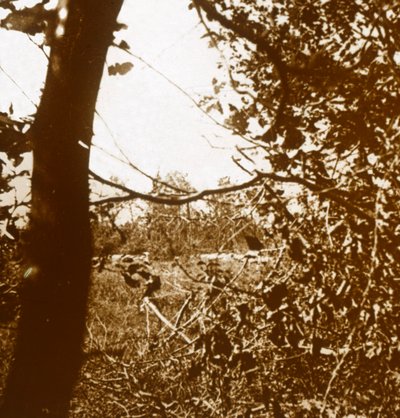 ドイツ海溝、c1914-c1918 作： Unbekannt