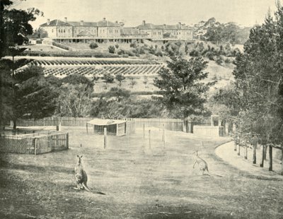 Gladesville Asylum for the Insane、ニューサウスウェールズ州、1901年。 作： Unbekannt