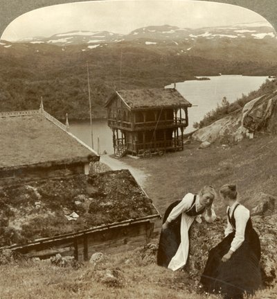 ボクスリ湖を見下ろすボッテンの道端の旅館でゴシップ-ノルウェーのハウケリ山を望む 作： Unbekannt