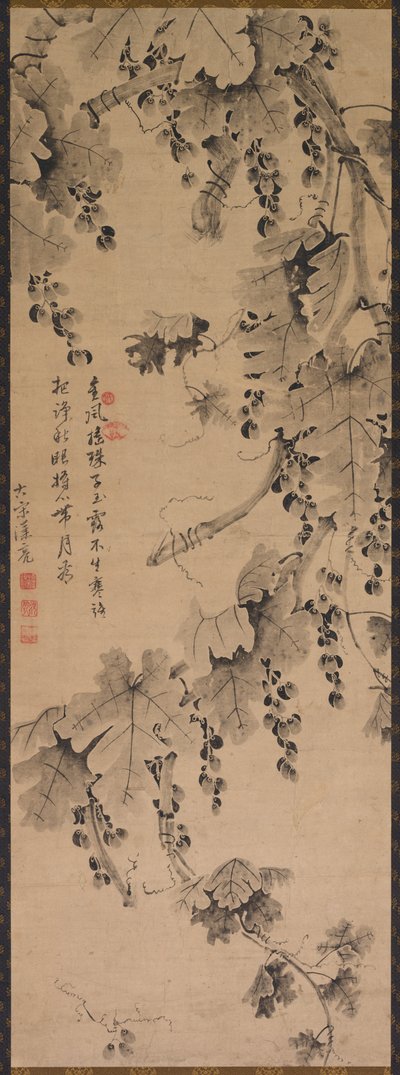 グレープバイン、1700年代から1800年代。 作： Unbekannt
