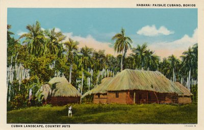 ハバナ：キューバの風景、Bohios。キューバの風景、カントリーハット、c1910 作： Unbekannt