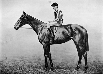 ハッカーズプライド、c1860、1911 作： Unbekannt
