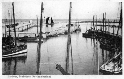 港、海の家、ノーサンバーランド、1905 作： Unbekannt