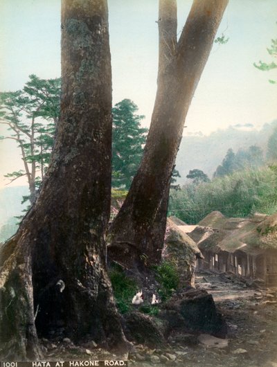 箱根道路、20世紀初頭の秦 作： Unbekannt
