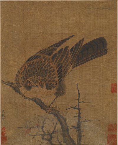 葉のない枝のタカ、おそらく元王朝、1279-1368. 作： Unbekannt