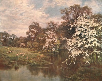 サンザシの花、c1899、c1902。 作： Unbekannt