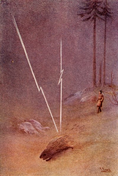 1914年、彼は突然巨大なヤマアラシの形をとった. 作： Unbekannt