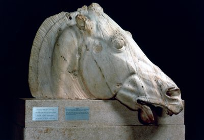 紀元前447-432年のパルテノン神殿の東側ペディメントからのセレーネの馬車の馬の頭 作： Unbekannt