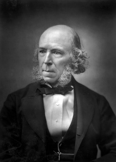 ハーバートスペンサー1820〜1903年、19世紀後半 作： Unbekannt