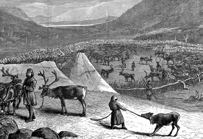 トナカイの群れ、ラップランド、1882 年 作： Unbekannt