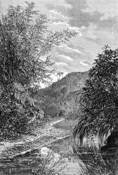 ハイランドの風景、フォルモサ、c1890 作： Unbekannt