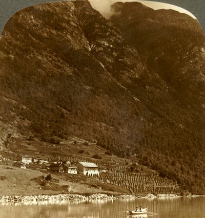 ノルウェーのローエン湖のE.海岸にある山のふもとにたたずむ養蜂場。c1905。 作： Unbekannt