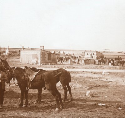 馬、ソンムトゥルブ、北フランス、c1914-c1918 作： Unbekannt