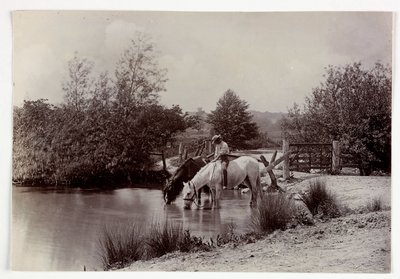 池で水を飲む馬たち（1890年頃 作： Unbekannt