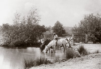 "Horses drinking at pond", vers les annees 1890 作： Unbekannt