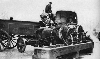 1926年から1927年にロンドンの牛トラフから飲む馬 作： Unbekannt