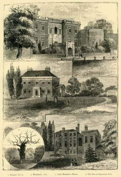 Houses Round Greenwich Park、c1878。 作： Unbekannt