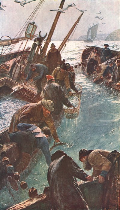 ピルチャードの捕獲方法、1895年、c1902。 作： Unbekannt