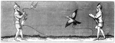1849年の若いハヤブサを訓練する方法 作： Unbekannt