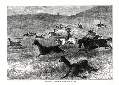 1877年、南米ボーラスでグアナコスを狩猟 作： Unbekannt