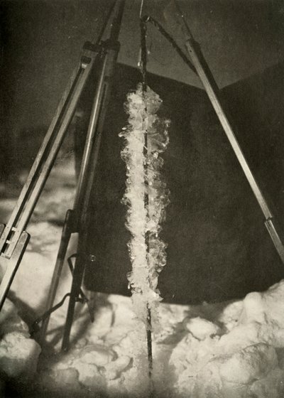 フィッシュトラップのライン上に形成された氷の結晶、c1908、1909 作： Unbekannt
