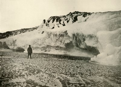 冬の初めに新しく形成された海氷上の氷の花、c1908、1909。 作： Unbekannt
