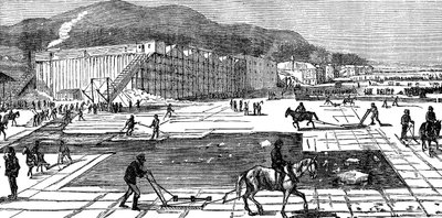 1875年、ニューヨーク州近くのハドソン川での集氷 作： Unbekannt