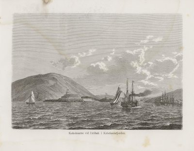 アルベール・ボニエ社から出版された著者不明の書籍「Nordiska taflor」からの抜粋です。 作： Unbekannt