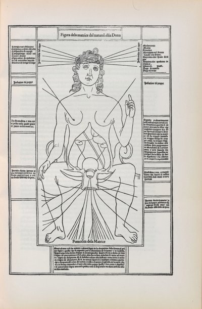 Johannes de Ketham による「Fasciculo di medicina」のイラスト、1493 年。 作： Unbekannt