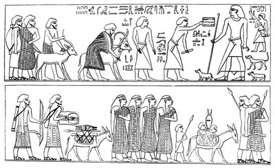 モールのノミストでの移民セミット、1881 作： Unbekannt