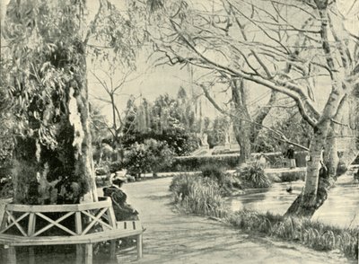 植物園、アデレード、1901年。 作： Unbekannt