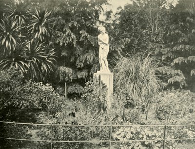 フィッツロイ庭園、メルボルン、1901年。 作： Unbekannt