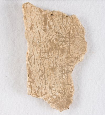 内接骨片 甲骨、殷王朝後期、約 紀元前1300～1050年。 作： Unbekannt