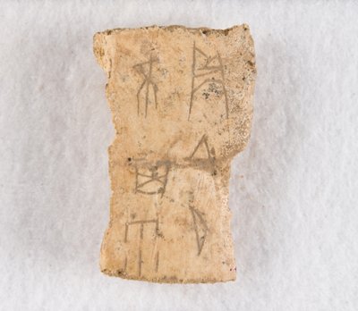 内接骨片 甲骨、殷王朝後期、約 紀元前1300～1050年。 作： Unbekannt