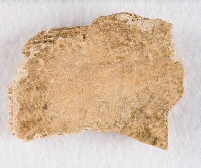 内接骨片 甲骨、殷王朝後期、約 紀元前1300～1050年。 作： Unbekannt