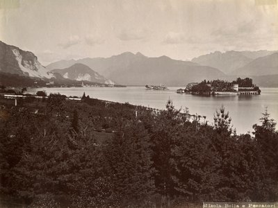 イゾラデイペスカトリフィッシャーマンズアイランド、マッジョーレ湖、イタリア、1890 作： Unbekannt