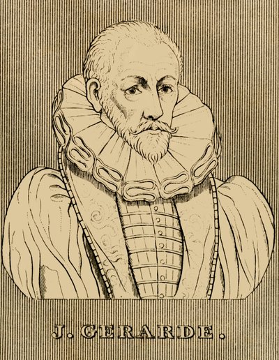 J.ジェラルデ、c1545-1612、1830。 作： Unbekannt