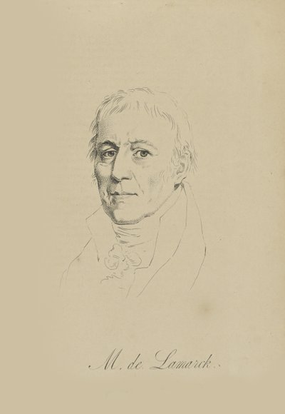ジャンバティストピエールアントワーヌドモネ、シュヴァリエドラマルク1744-1829、c。 1810年。 作： Unbekannt