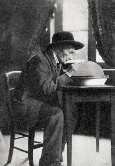 ジャンアンリファーブル、フランスの昆虫学者、1880年 作： Unbekannt