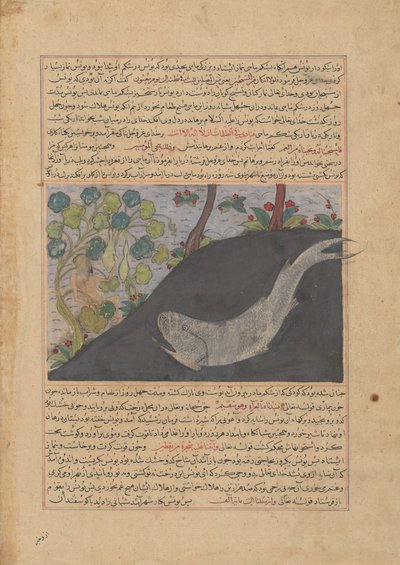 ヨナとクジラ、マジュマ・アル・タバリフ歴史大要からのフォリオ...、約。 1425年。 作： Unbekannt