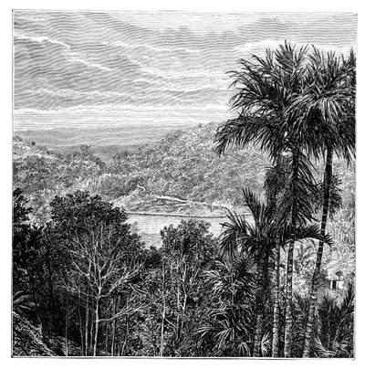 キャンディマハヌヴァーラ、スリランカ、1895 作： Unbekannt