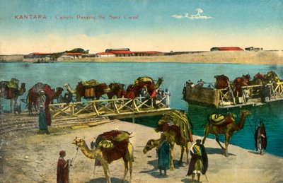 カンタラ-スエズ運河を通過するラクダ、c1918-c1939。 作： Unbekannt
