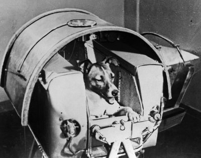 ロシアの宇宙飛行士、ライカ、1957 作： Unbekannt