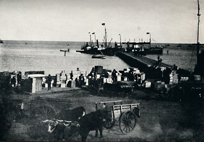 着陸場所、プンタアレナス、1911 作： Unbekannt