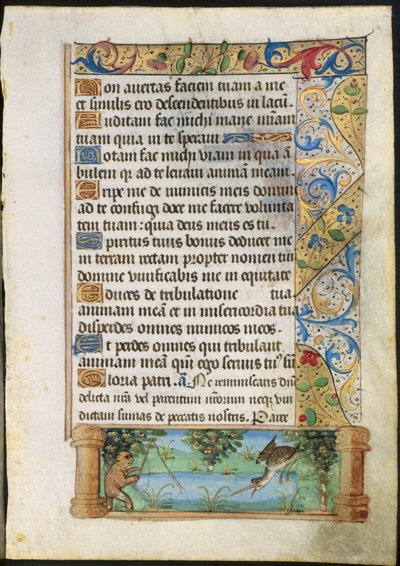 ブックのリーフ：エイプフィッシング、c。 1500-1510。 作： Unbekannt