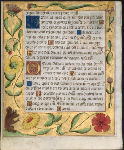 詩篇と祈りの本からの葉っぱ：花とリスの装飾が施されたボーダー、c。 1524。 作： Unbekannt