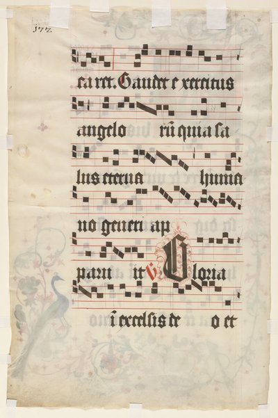 対訳からの葉っぱ：テキスト対、c。 1480。 作： Unbekannt