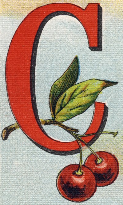 文字C：チェリーAlphabet de ma petite fille "に掲載された版画。Bernardin-Bechet and Fils, bookseller-publishers, Paris, around 1895.キャンバス地にアンブレイカブル・アルバム。Bibliotheque des Bebes.12ページ。読書法とイラスト入りのアベレージを収録したアルバム 作： Unbekannt