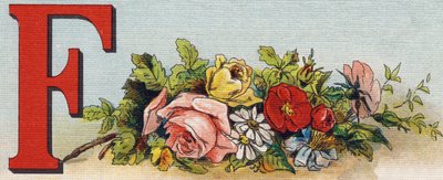 アルファベットF：花Alphabet de ma petite fille "のエングレーヴィング。Bernardin-Bechet and Fils, bookseller-publishers, Paris, around 1895.キャンバス地にアンブレイカブル・アルバム。Bibliotheque des Bebes.12ページ。読書法とイラストのアベックを収録したアルバム 作： Unbekannt