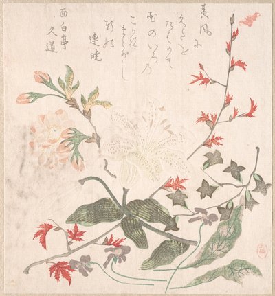ユリ、スミレ、桜、レンギョウ、赤カエデの枝、18 ～ 19 世紀。 作： Unbekannt